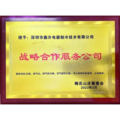 戰(zhàn)略合作服務公司